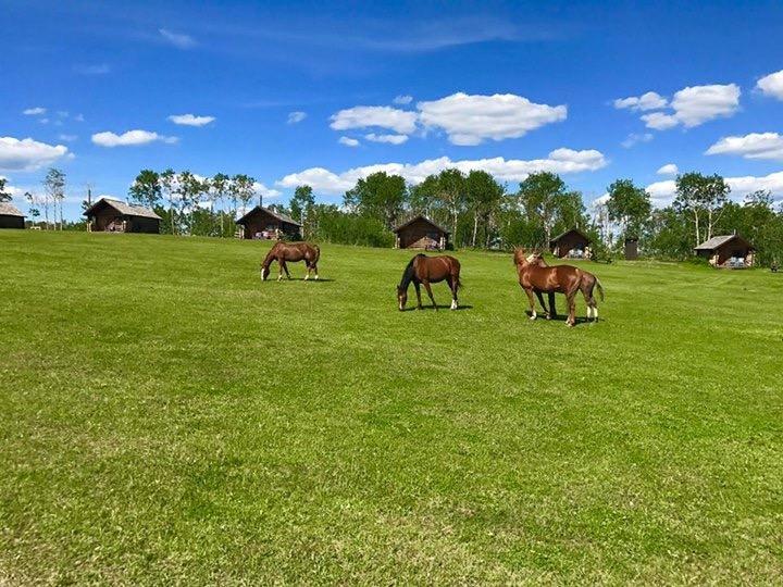 Flying U Ranch Hotel Seventy Mile House Luaran gambar